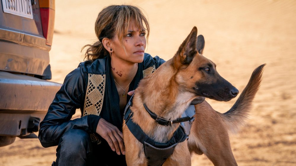 Halle Berry in John Wick: Chapter 3 - Parabellum