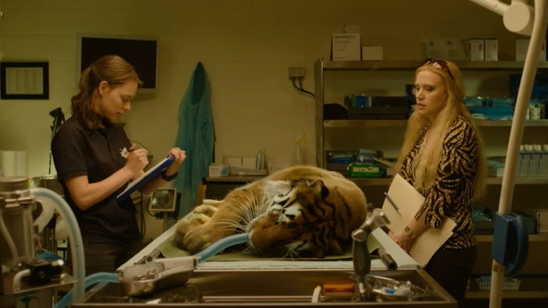 Kate McKinnon's Carole Baskin observes a sedated tiger