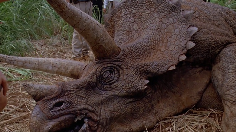 Triceratops in Jurassic Park