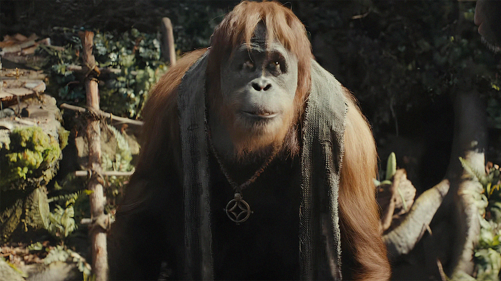 The Kingdom Of The Of The Apes Trailer Is That Doctor Zaius
