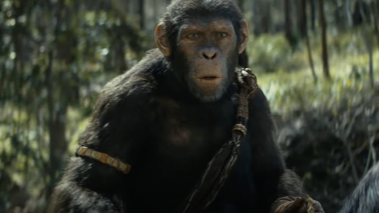 The Kingdom Of The Planet Of The Apes Trailer's New Hero Explained