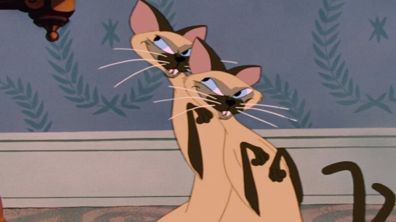 The two Siamese cats in the film