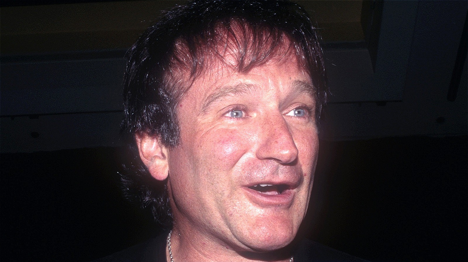 The Last Movie Robin Williams Was In Before He Died