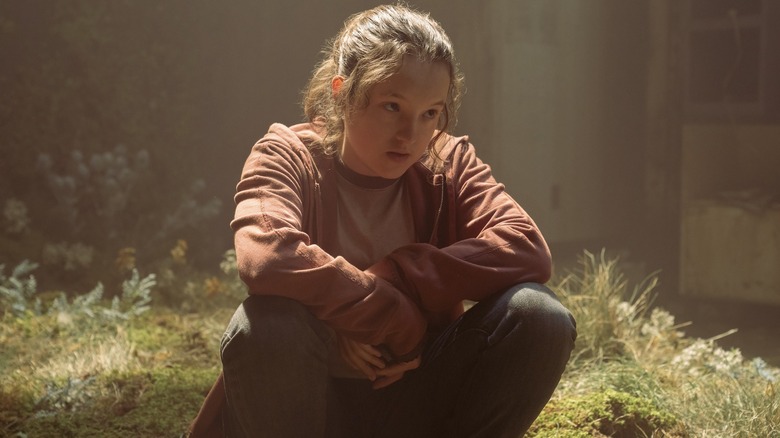 Ellie crouching on ground