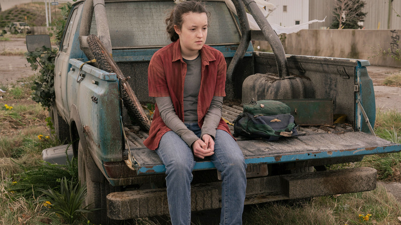 Ellie sitting in truck bed