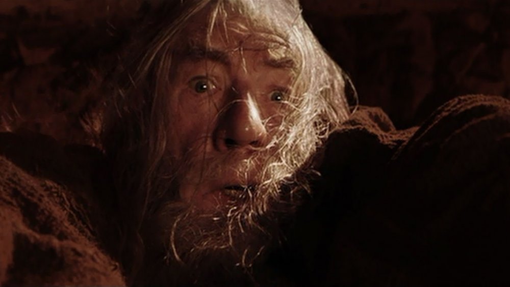 Ian McKellen in The Lord of the Rings: The Fellowship of the Ring