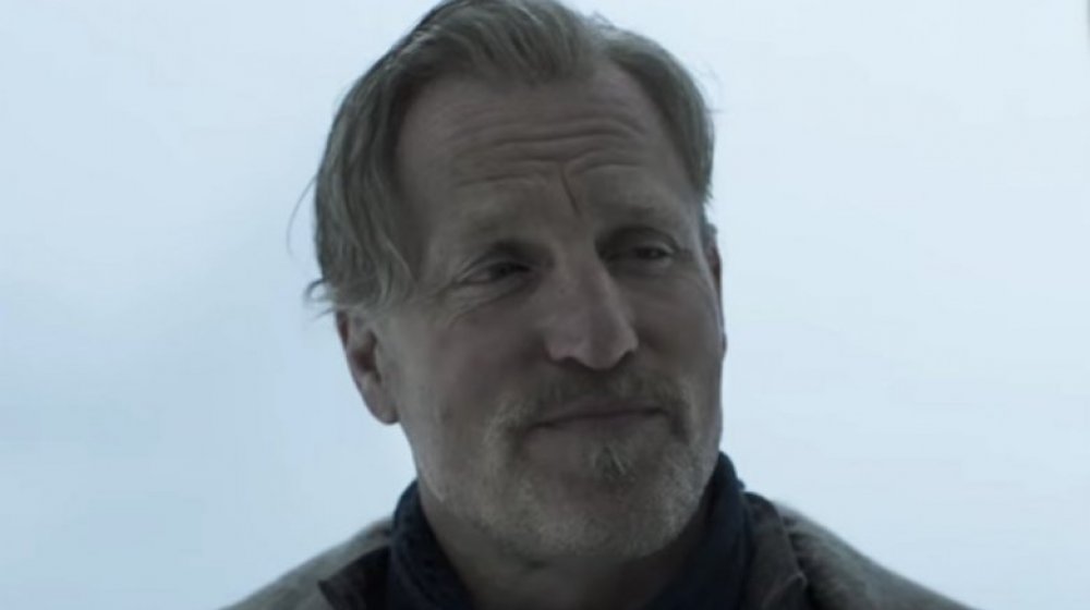 Woody Harrelson as Tobias Beckett in Solo