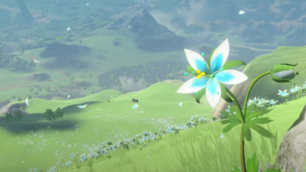 silent princess flower in hyrule field