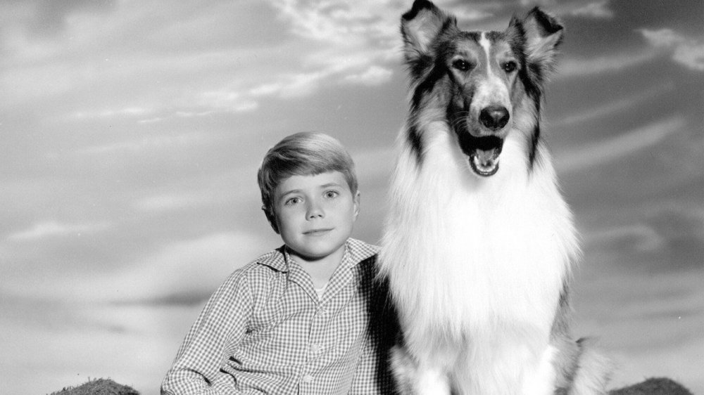 Lassie publicity still