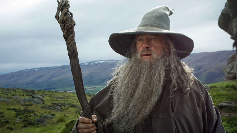 Gandalf the Grey