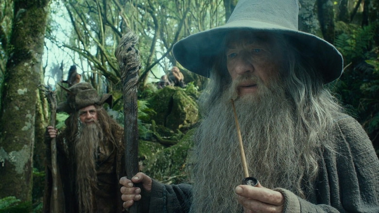 Gandalf and Radagast