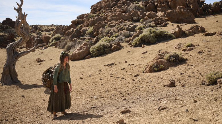 Nori walking in the desert