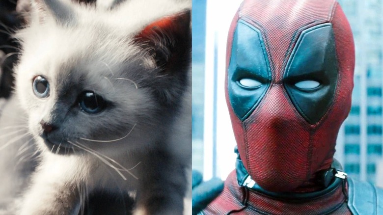 Cat and Deadpool