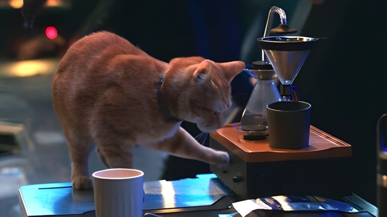 Goose presses a button on a coffee machine