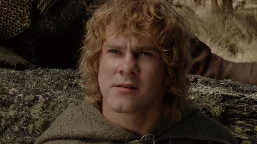 Dominic Monaghan as Meriadoc Brandybuck, Lord of the Rings