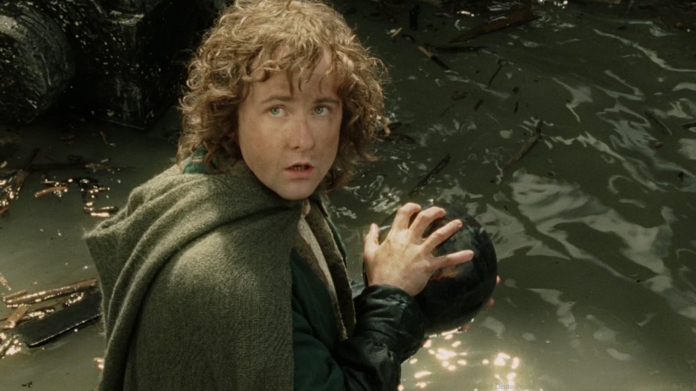 Billy Boyd as Peregrin Took, Lord of the Rings