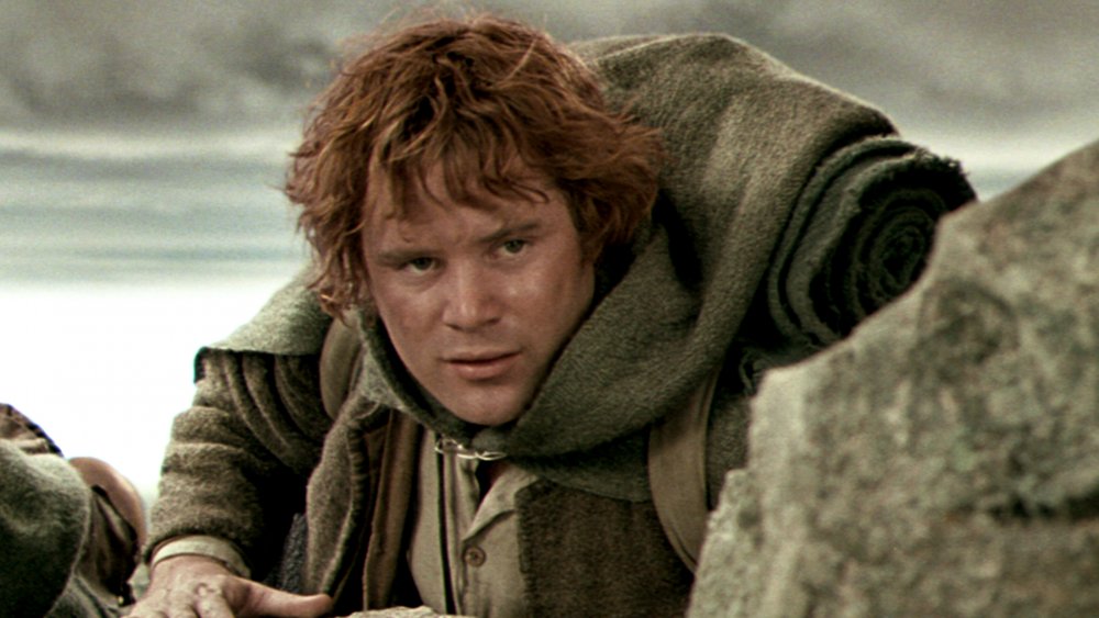 Sean Astin as Samwise Gamgee, Lord of the Rings