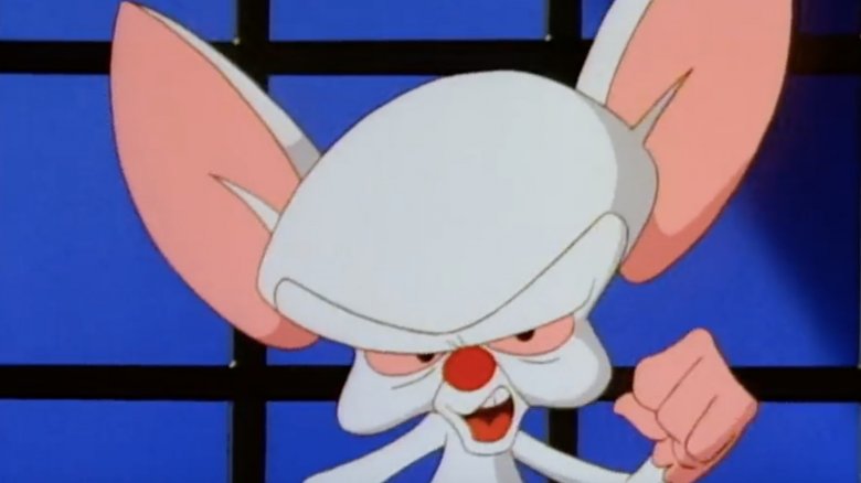 Pinky and the Brain