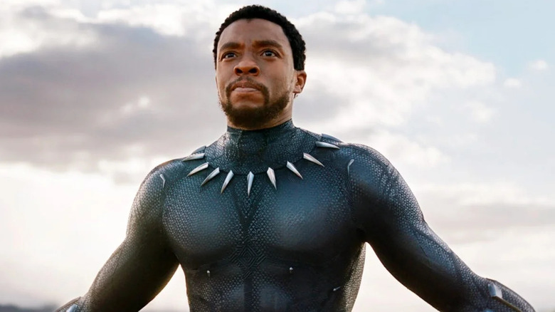 Black Panther looking forward