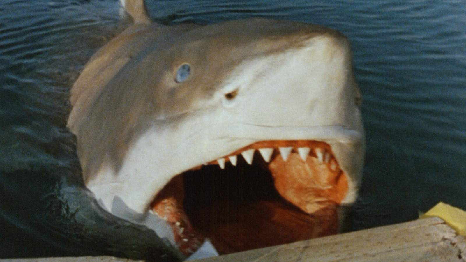 The Most Bizarre Shark Movies From Around The World