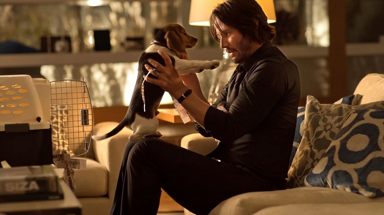 John Wick holding Daisy the dog