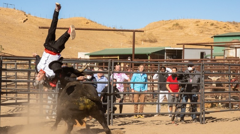 Johnny Knoxville upended by an angry bull