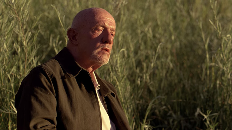 Jonathan Banks sits in field