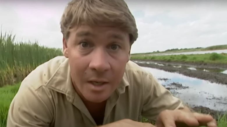 Steve Irwin speaking