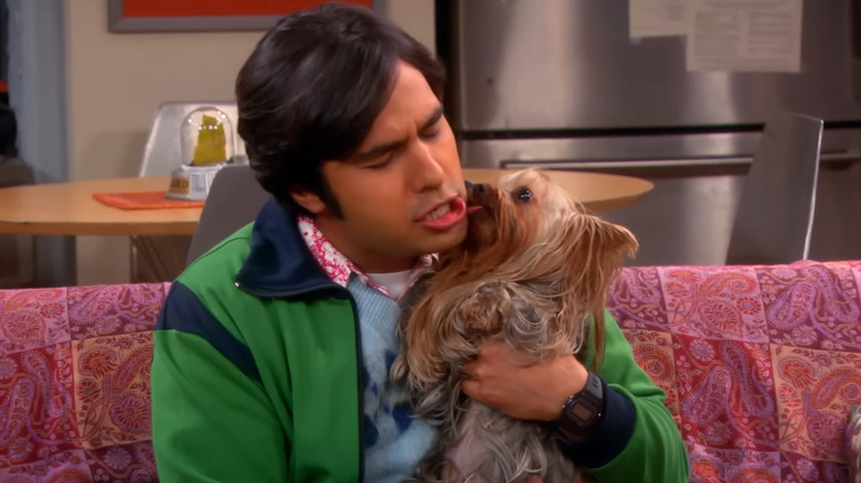 Raj Koothrappali getting licked by Cinnamon