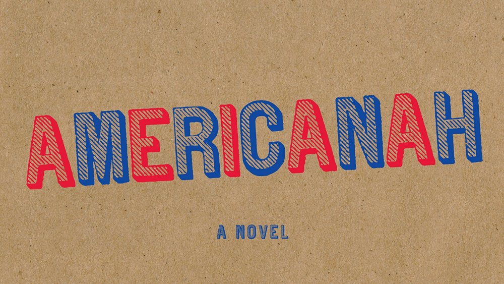 Americanah book cover