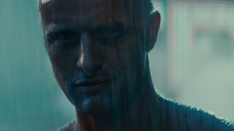 Roy Batty stares