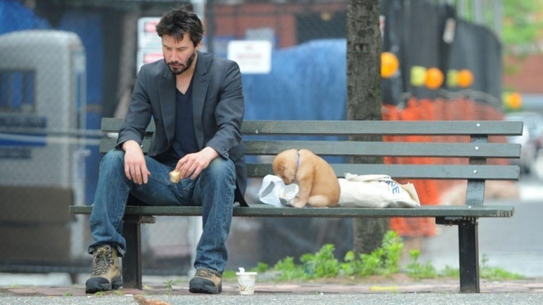 Keanu eating sandwich on a bench