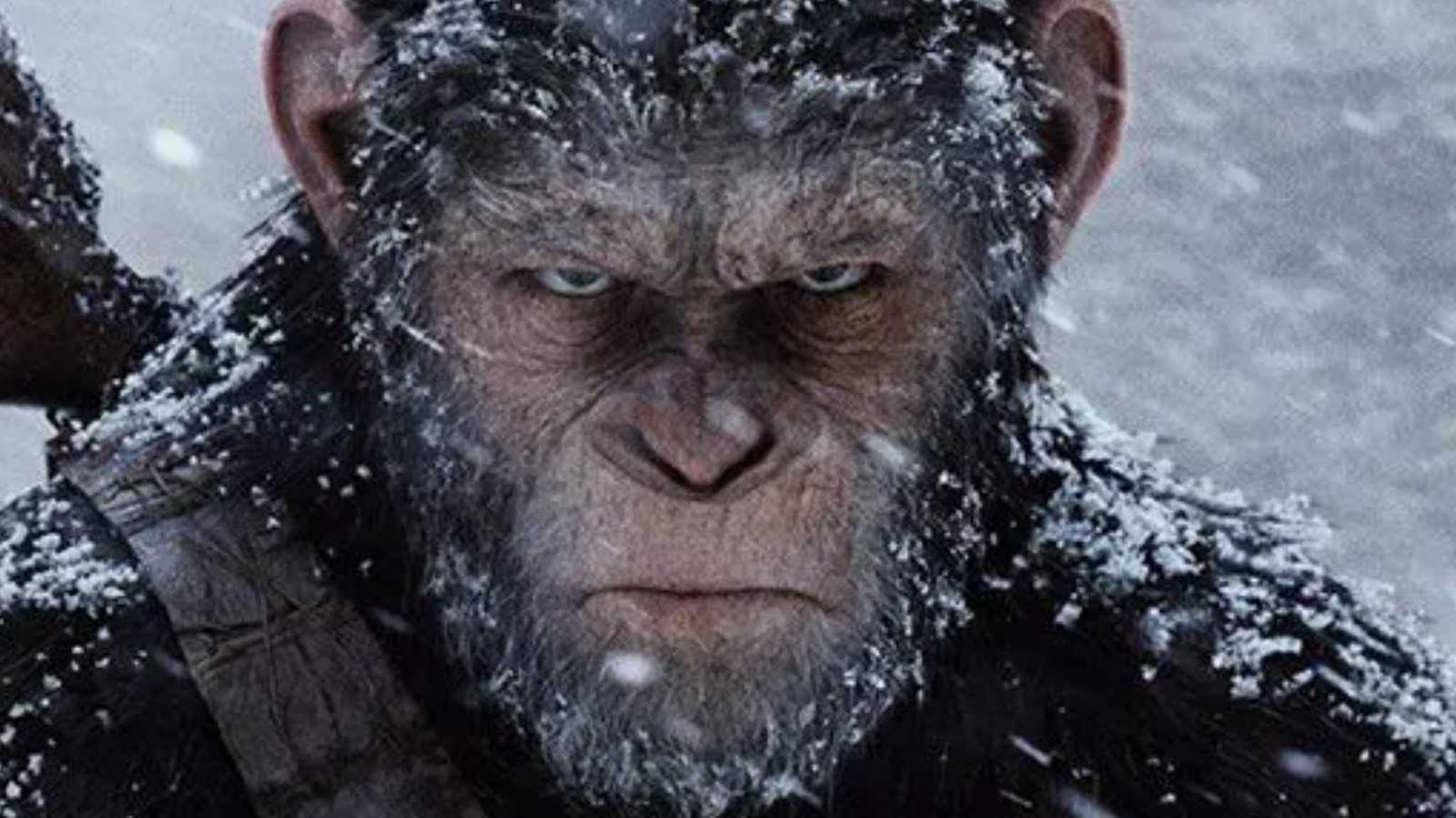 caesar son dawn of the planet of the apes