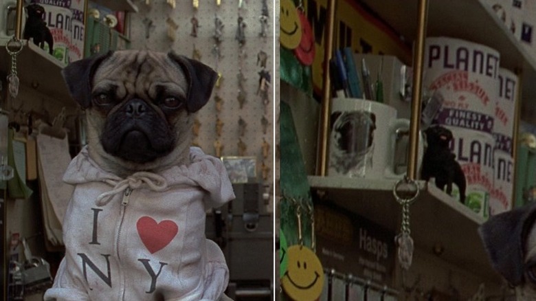 Frank the Pug, a mug and an alien product