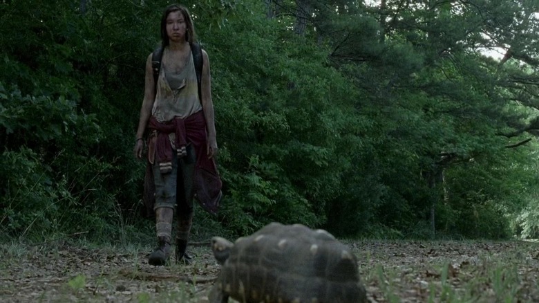 Enid walking towards turtle