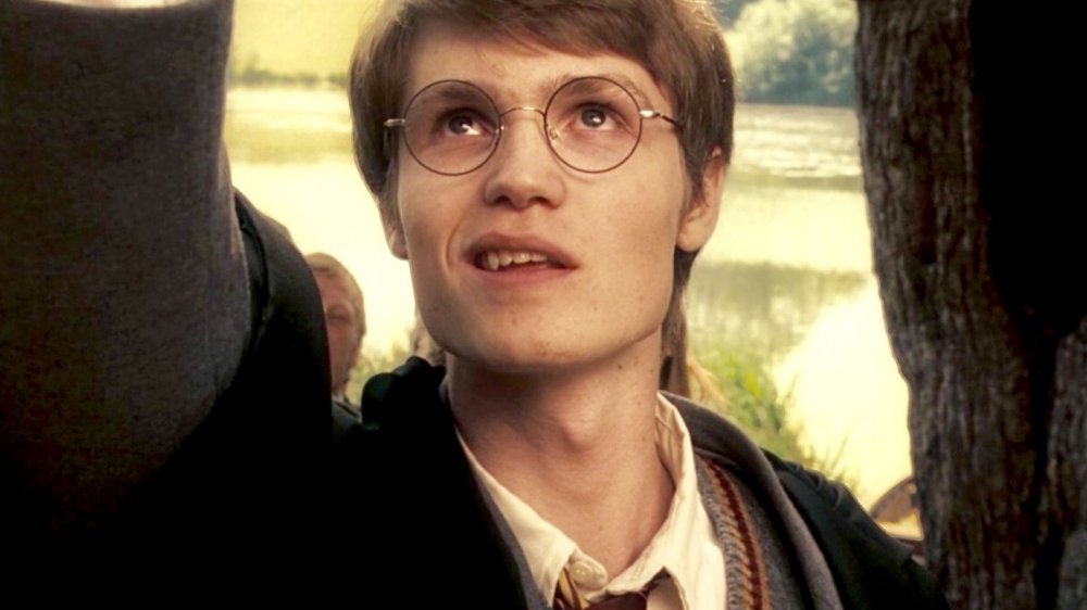 Robbie Jarvis as James Potter in Harry Potter and the Order of the Phoenix