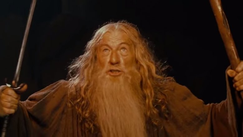 Ian McKellan in The Lord of the Rings: The Fellowship of the Ring