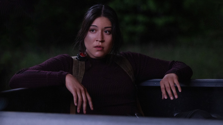 Echo sitting in a truck bed at night