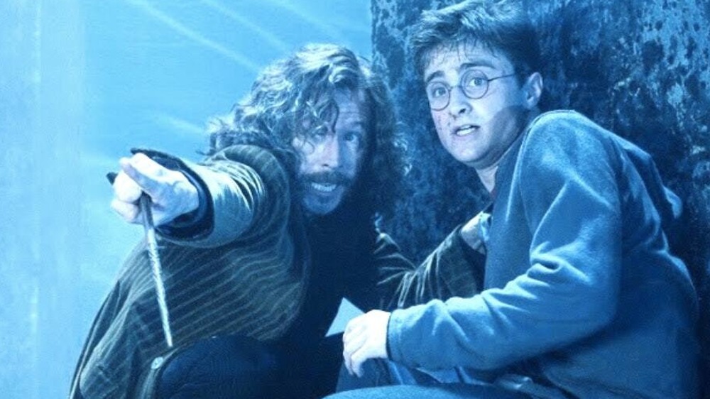 Sirius protects Harry