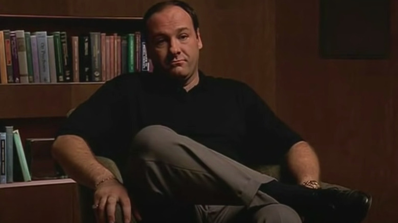 Tony Soprano sits in therapist's office