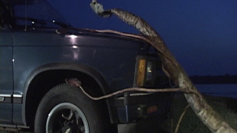 The WAWA climbs onto the hood of a car