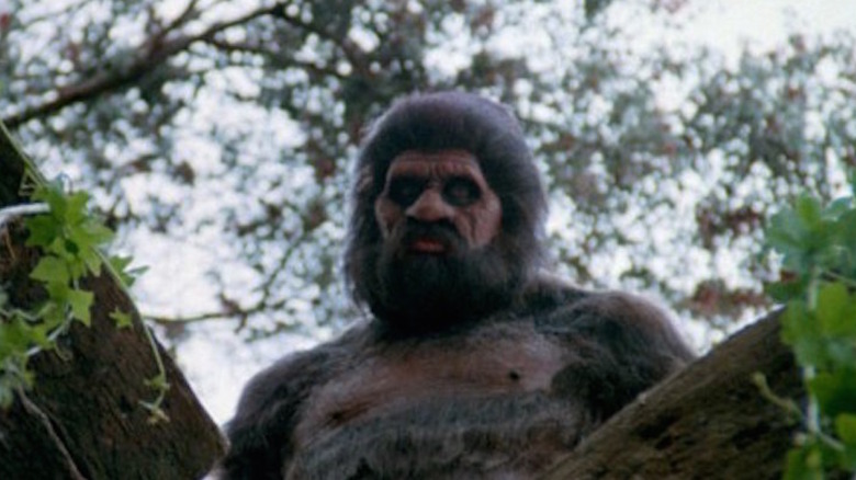 Bigfoot gives a mournful look