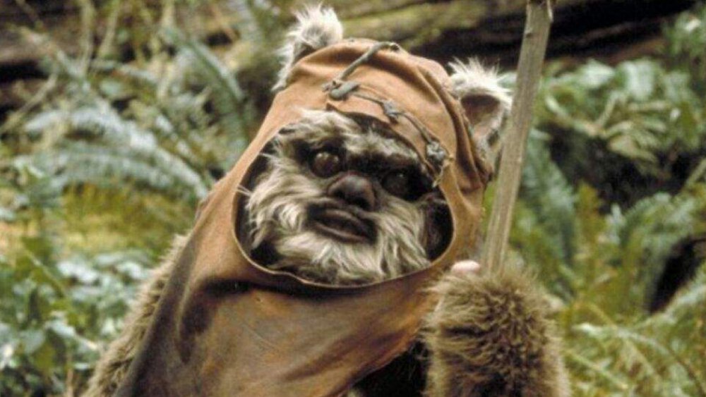 Warwick Davis as Wicket W. Warrick in Return of the Jedi