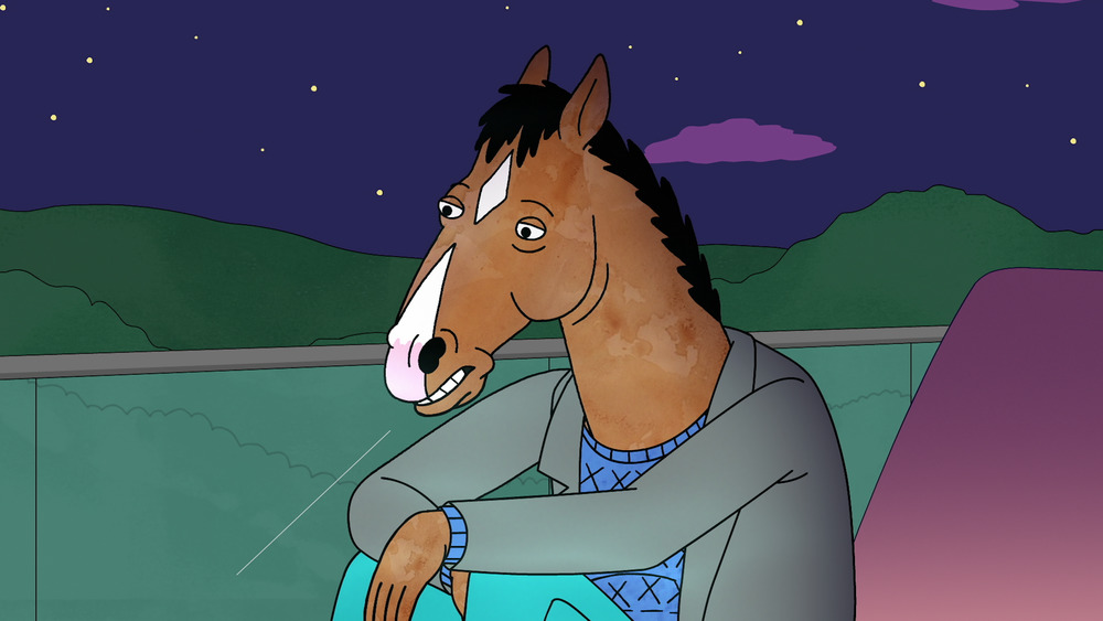 Bojack Horseman from Bojack Horseman