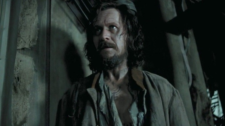 Sirius Black in the shrieking shack Harry Potter