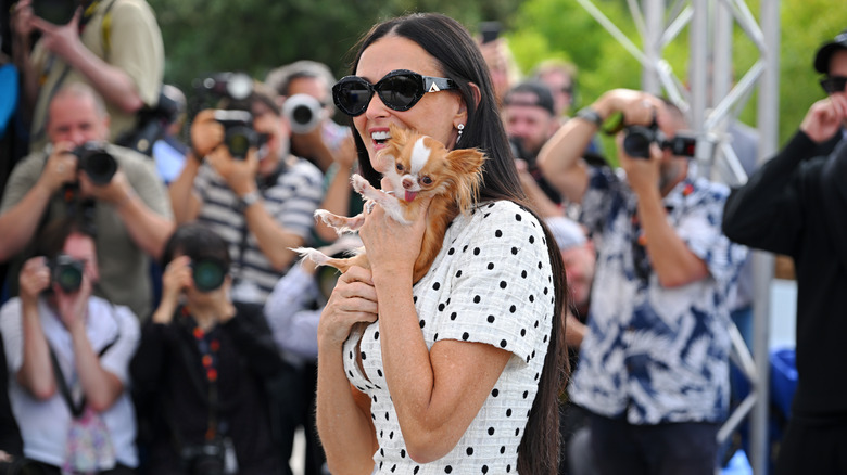 Demi Moore and dog Cannes