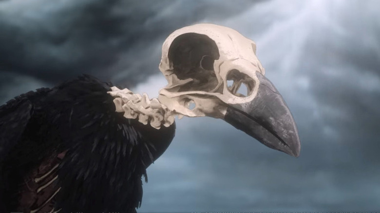 The skull crow against a cloudy sky