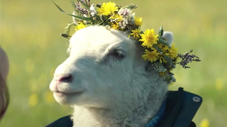 The lamb wearing a flower crown