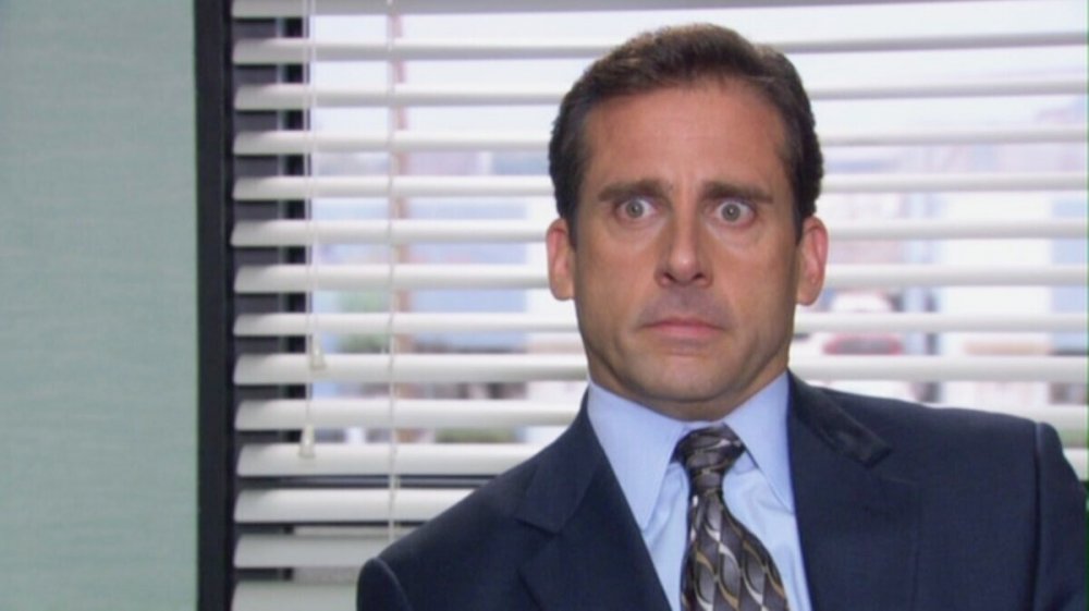 Steve Carell as Michael Scott on The Office