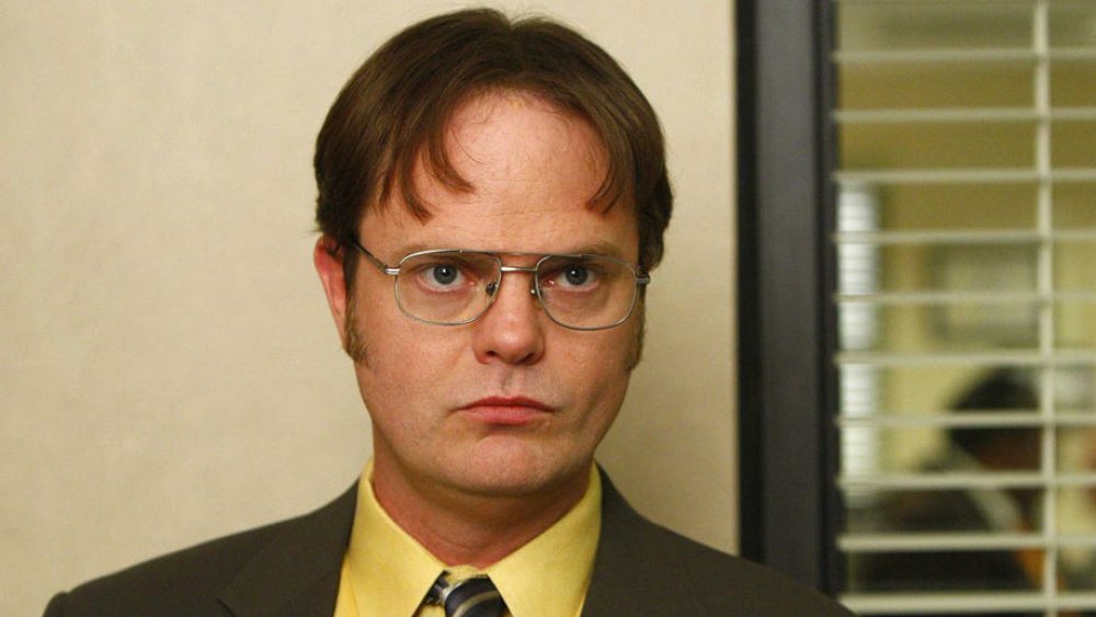 Rainn Wilson as Dwight Schrute on The Office